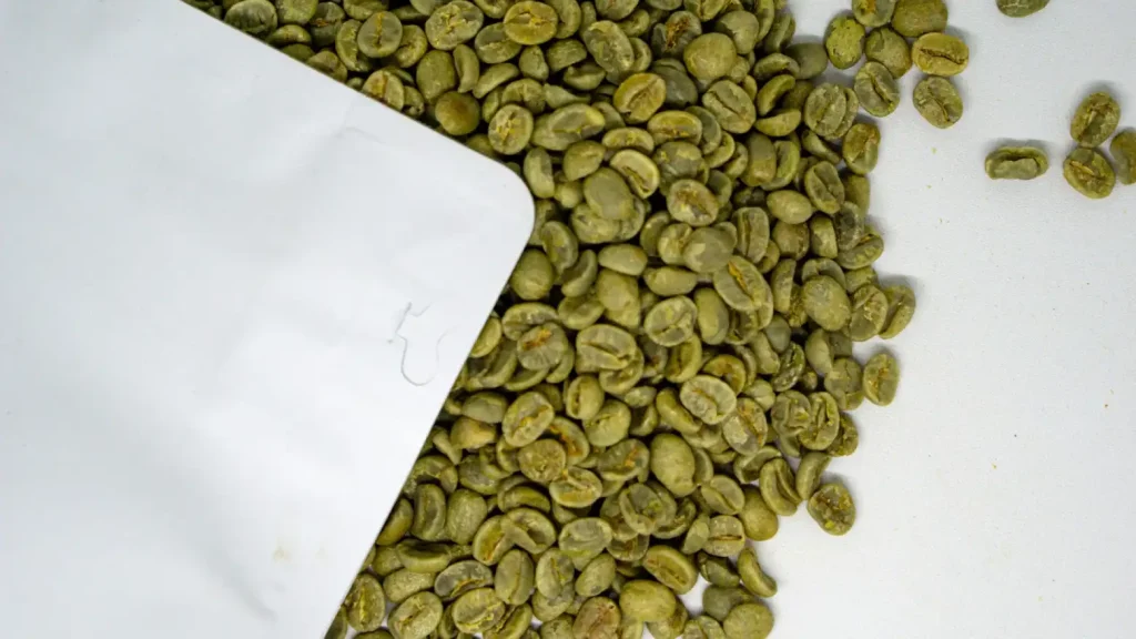 vacuum sealed bags